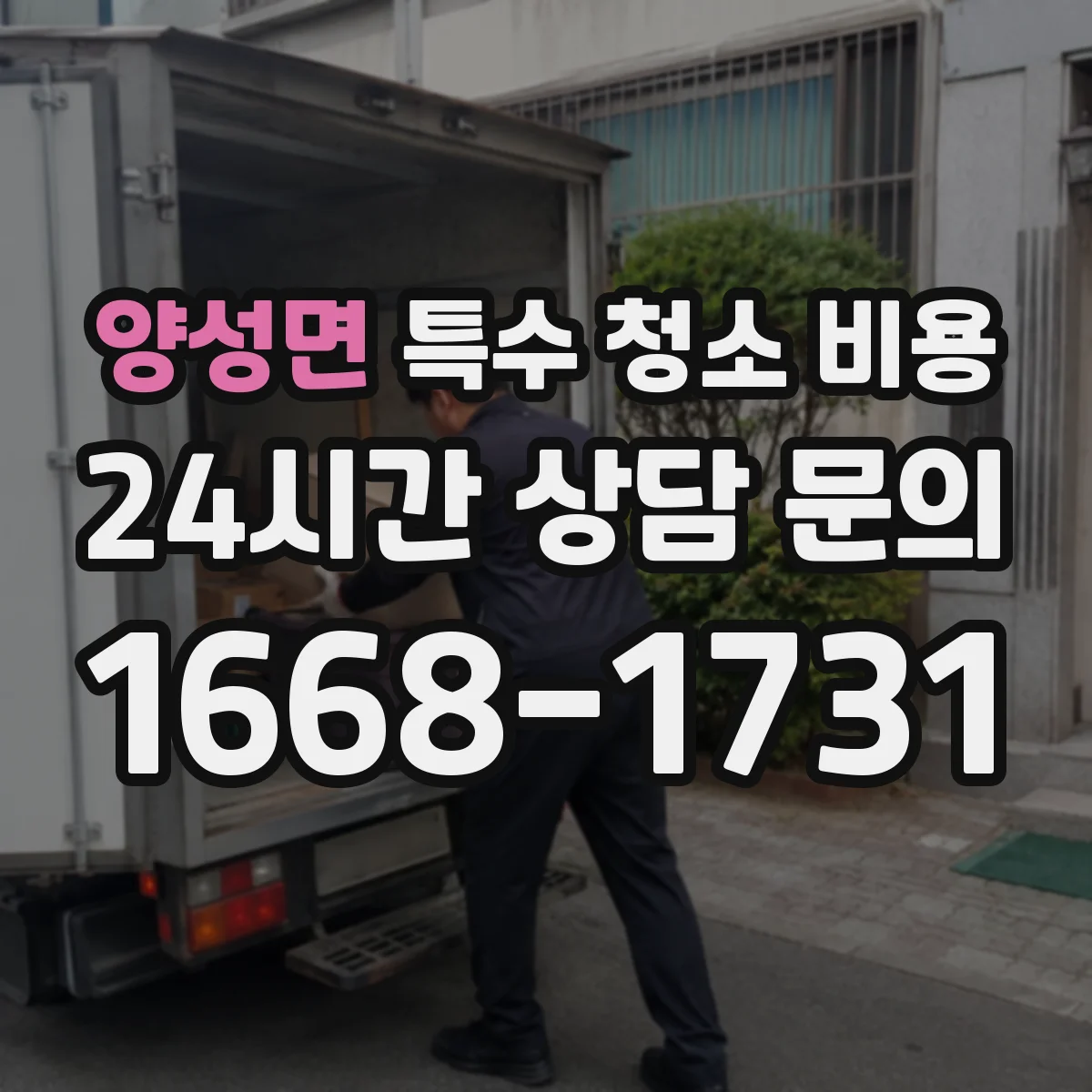 양성면 특수 청소 비용