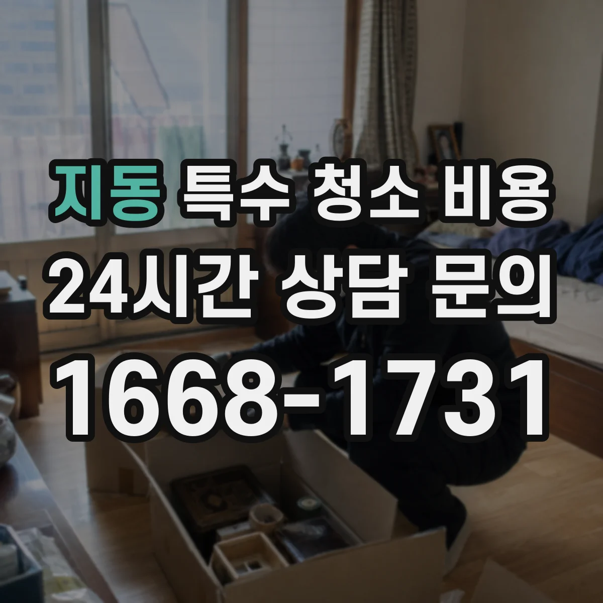 지동 특수 청소 비용