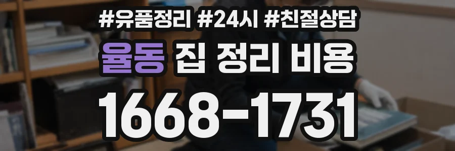 율동 집 정리 비용