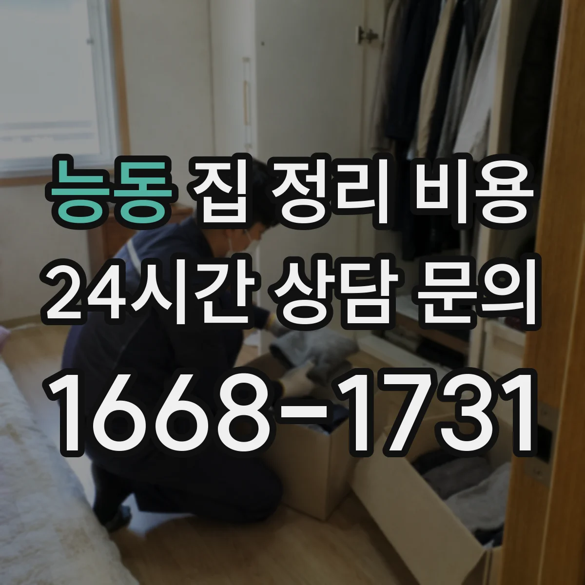 능동 집 정리 비용