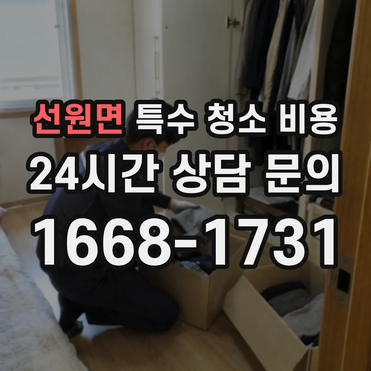 선원면 특수 청소 비용