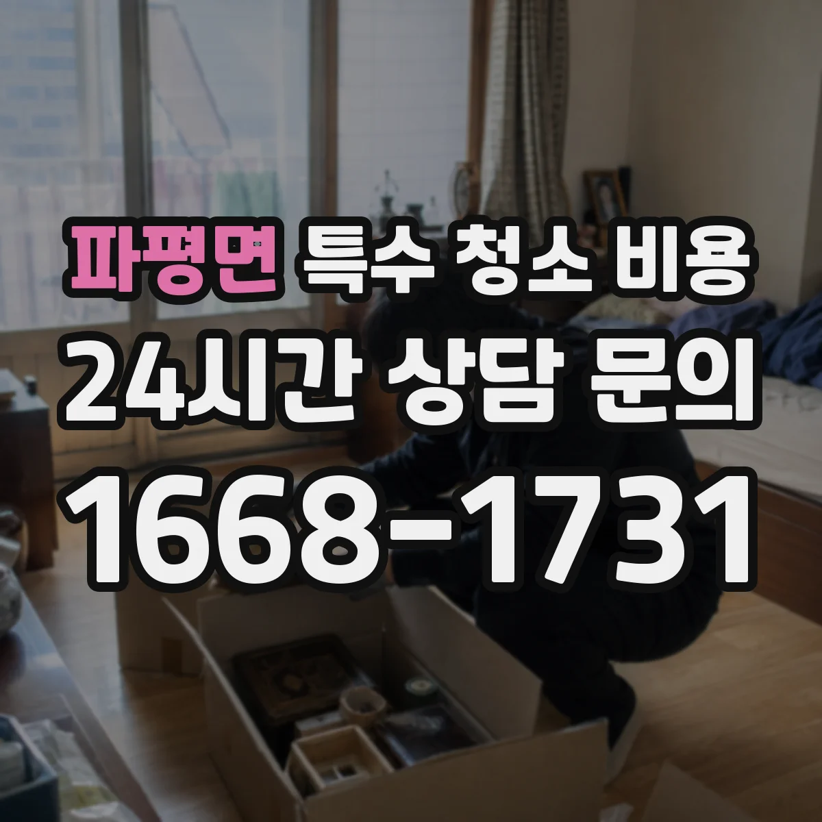 파평면 특수 청소 비용