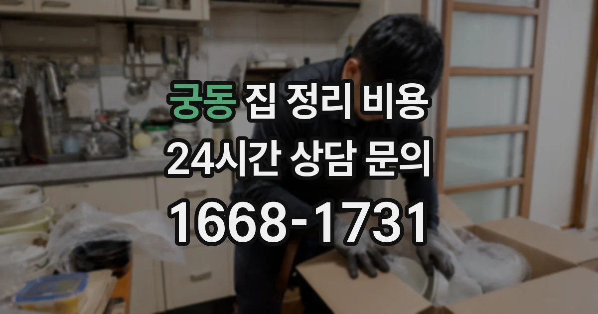 궁동 집 정리 비용