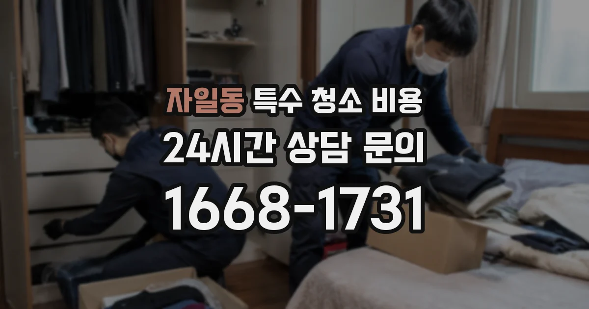 자일동 특수 청소 비용