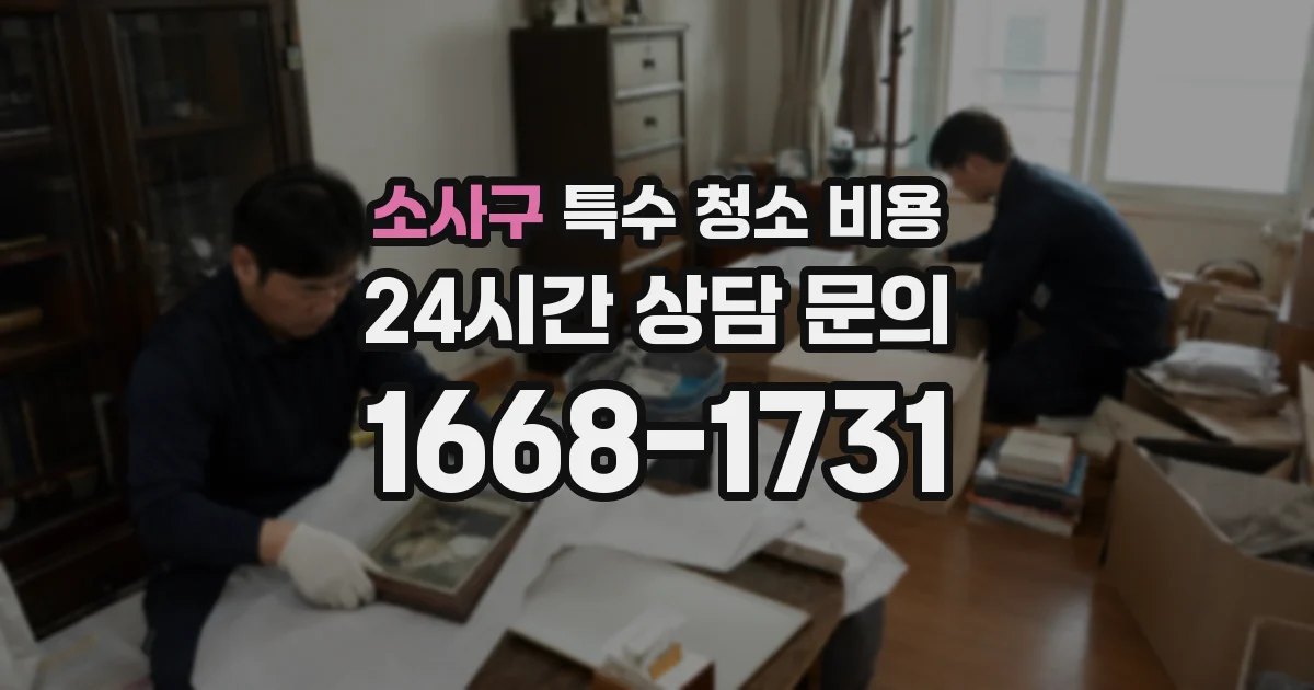 소사구 특수 청소 비용