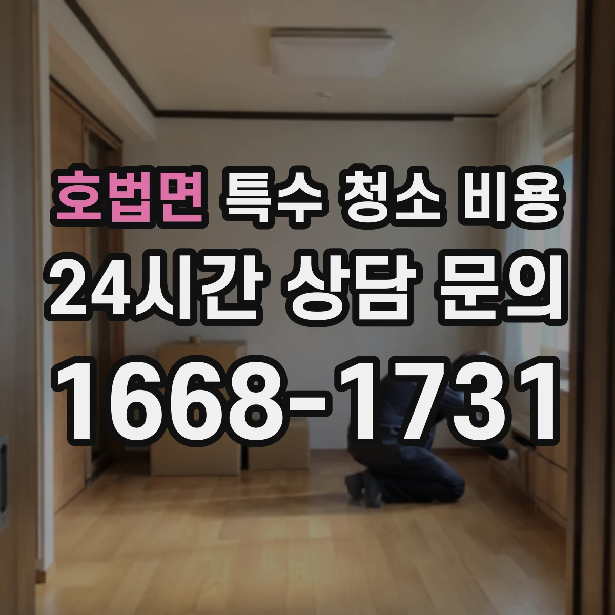 호법면 특수 청소 비용