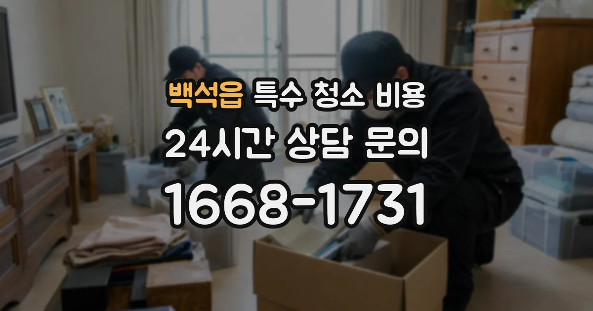 백석읍 특수 청소 비용