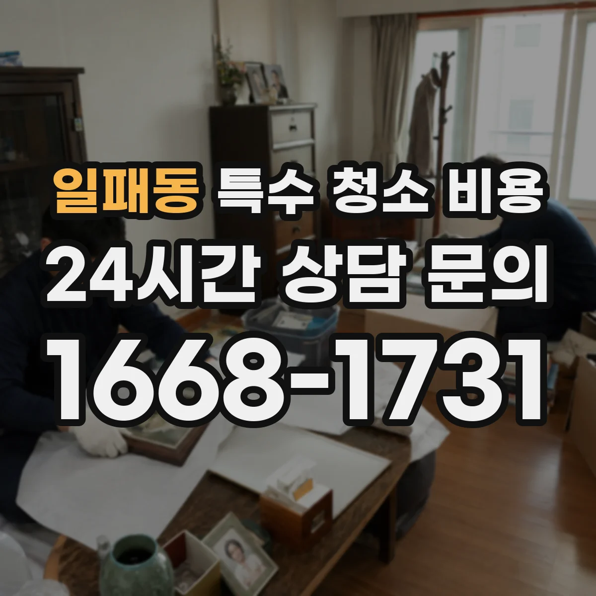 일패동 특수 청소 비용