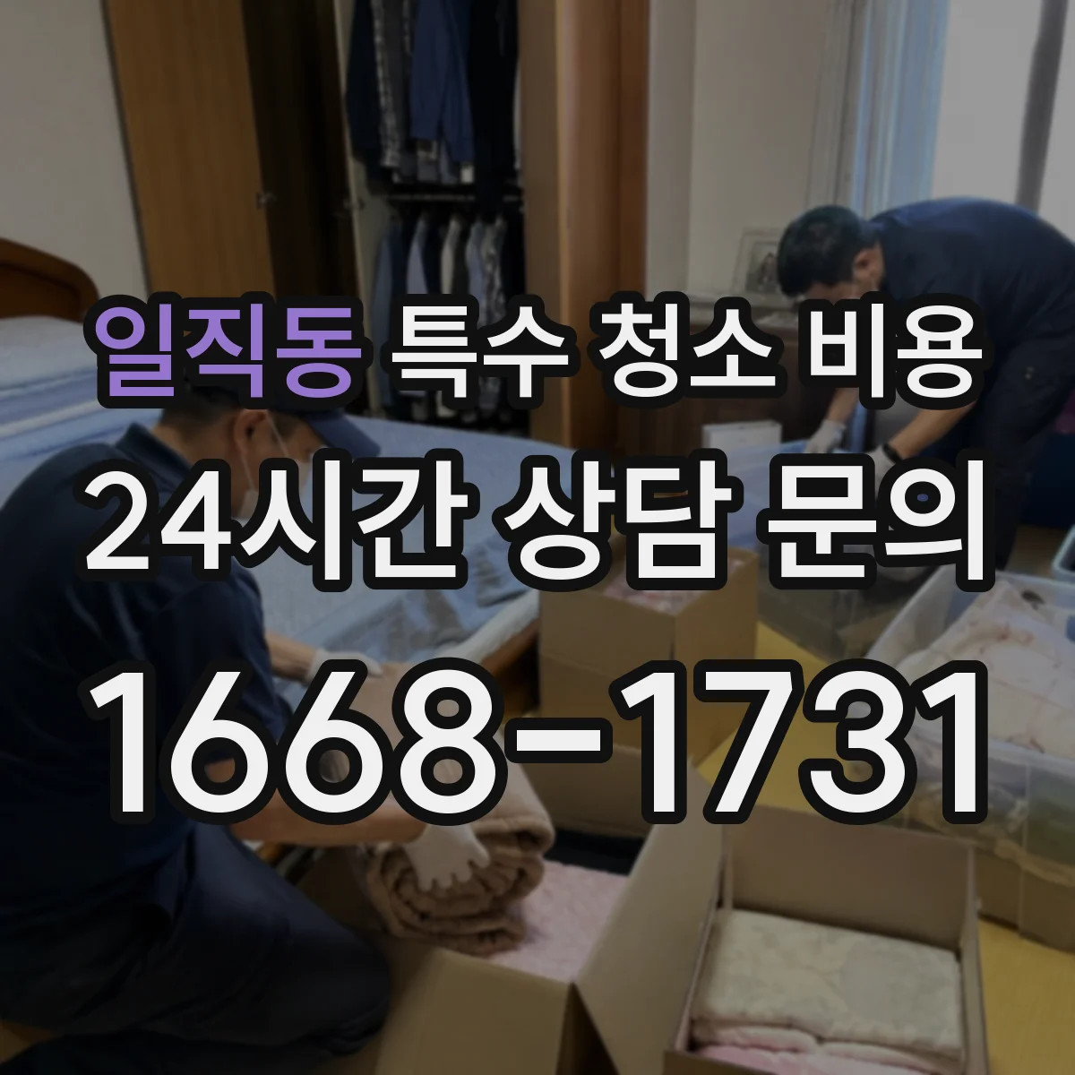 일직동 특수 청소 비용