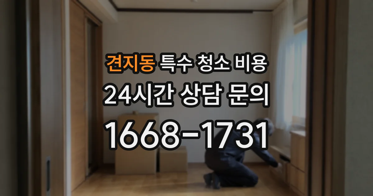견지동 특수 청소 비용