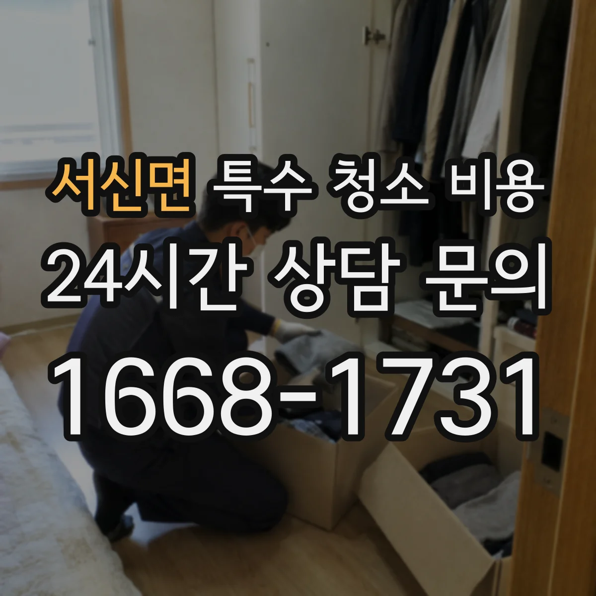 서신면 특수 청소 비용
