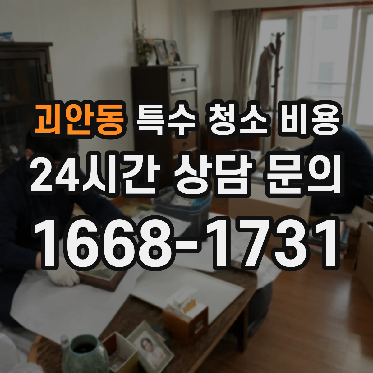 괴안동 특수 청소 비용