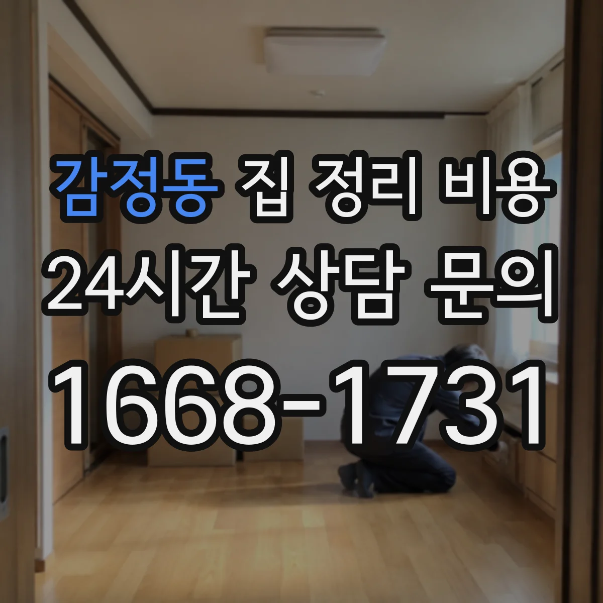 감정동 집 정리 비용