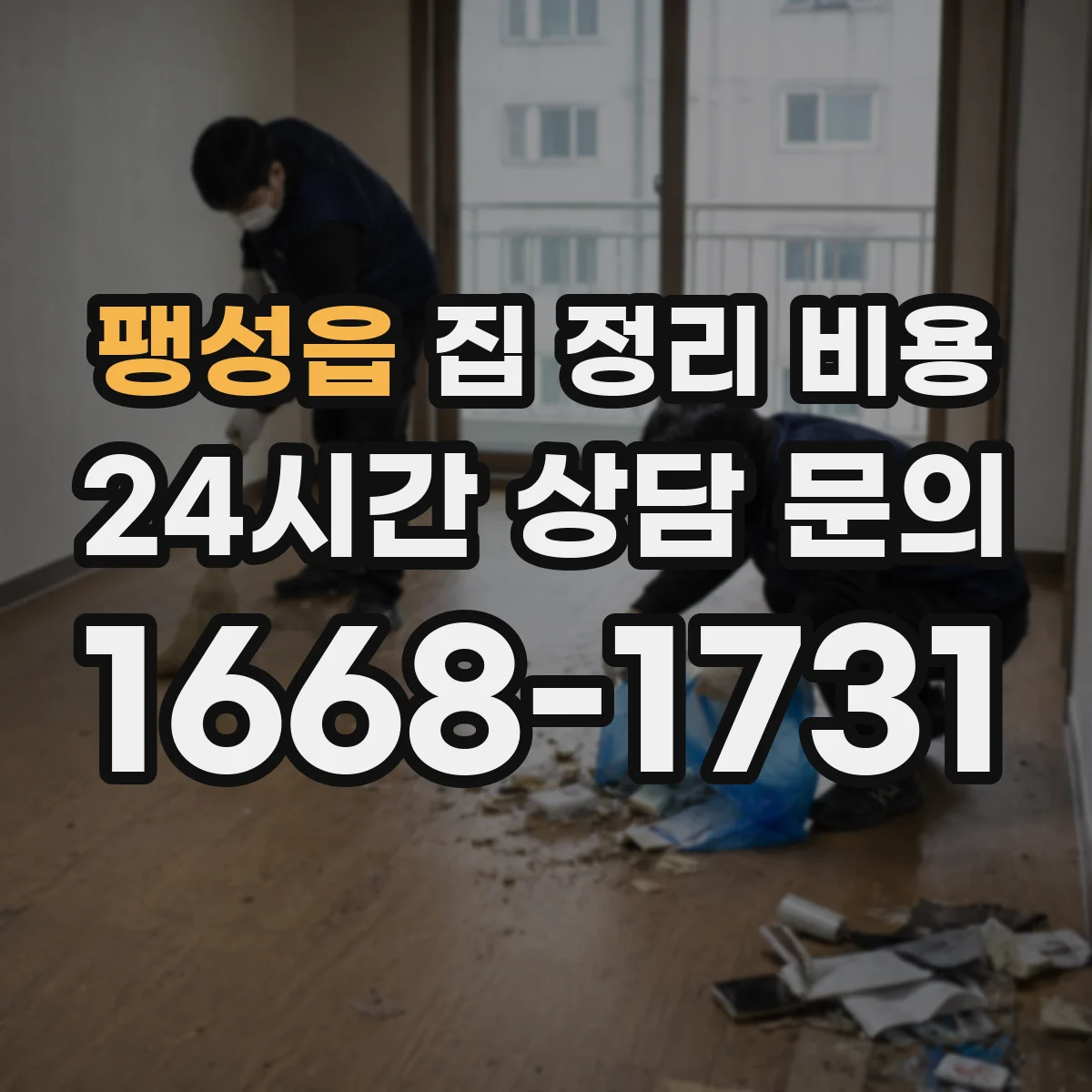 팽성읍 집 정리 비용