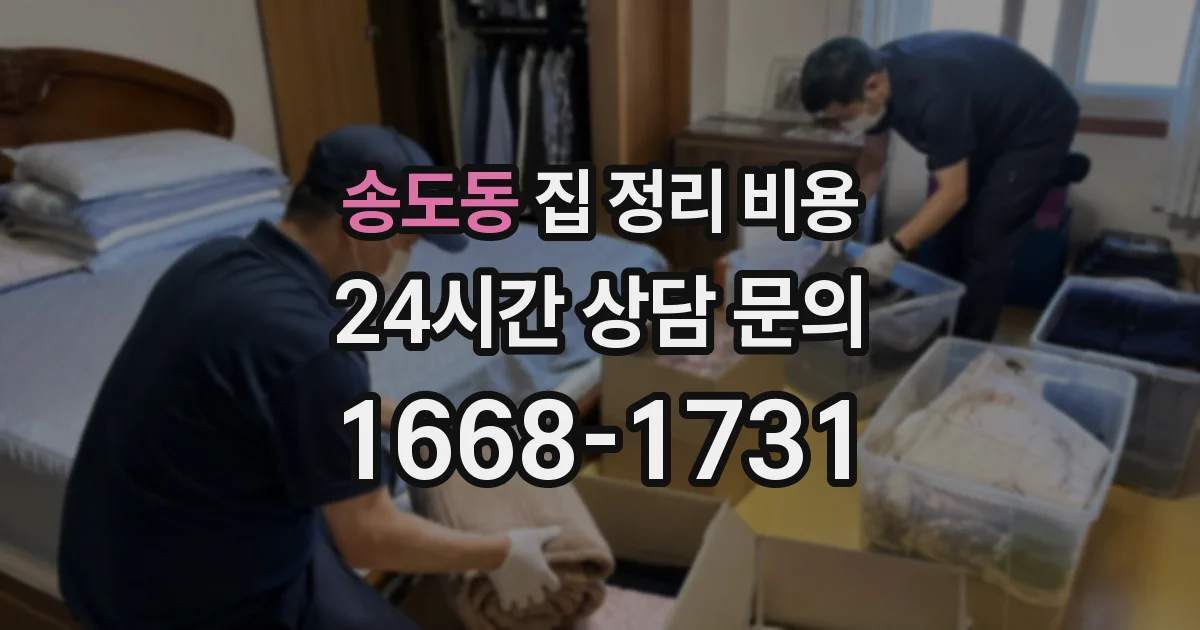 송도동 집 정리 비용