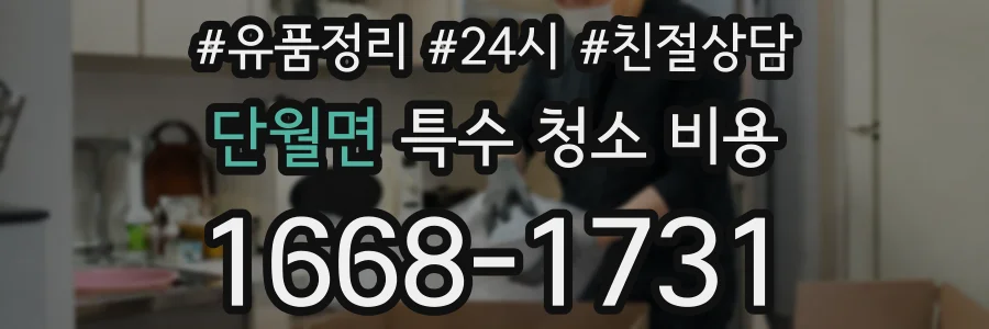 단월면 특수 청소 비용
