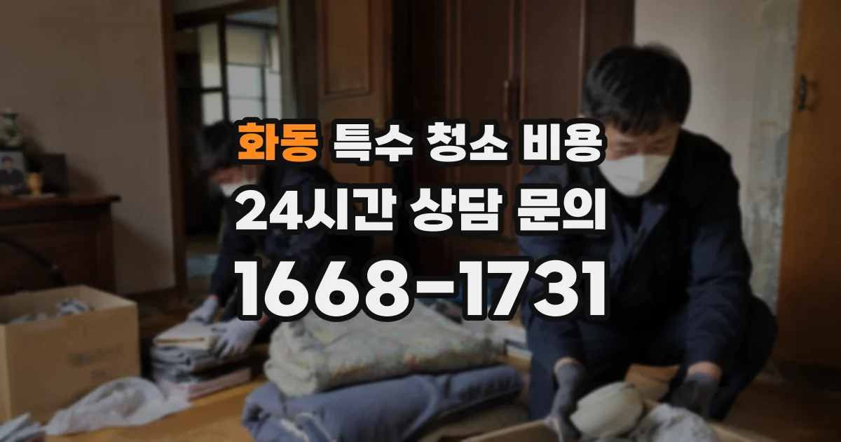 화동 특수 청소 비용