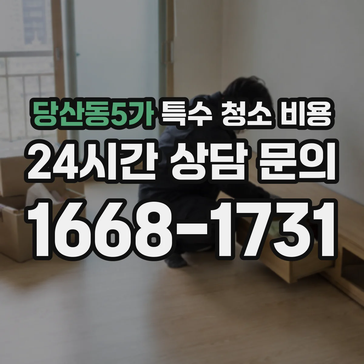 당산동5가 특수 청소 비용