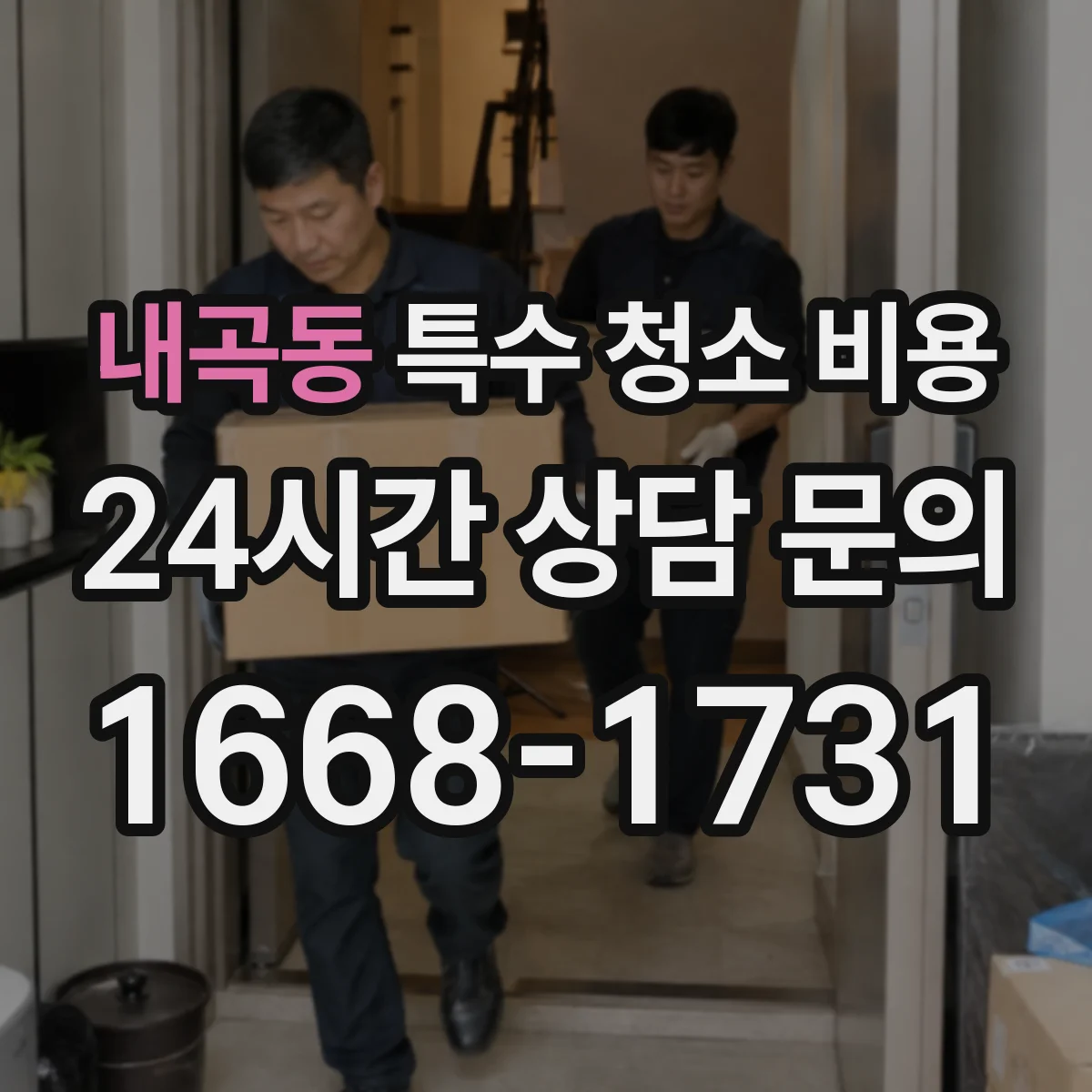 내곡동 특수 청소 비용