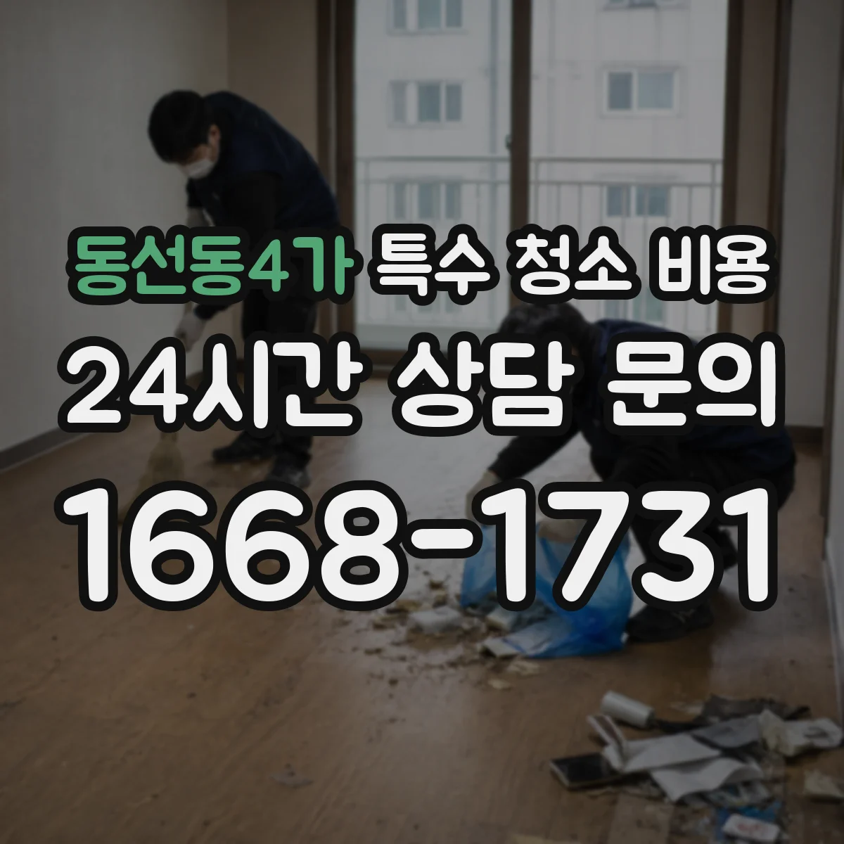 동선동4가 특수 청소 비용