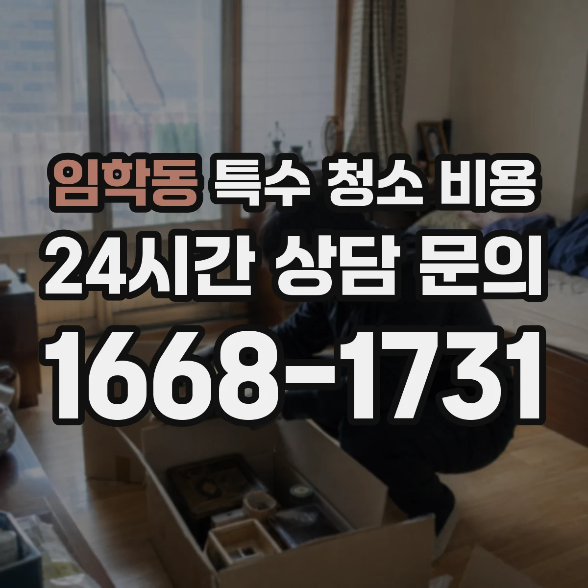 임학동 특수 청소 비용