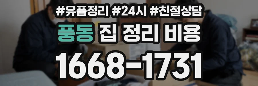 풍동 집 정리 비용