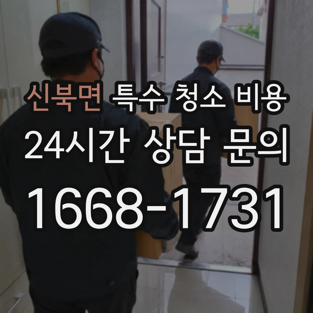 신북면 특수 청소 비용
