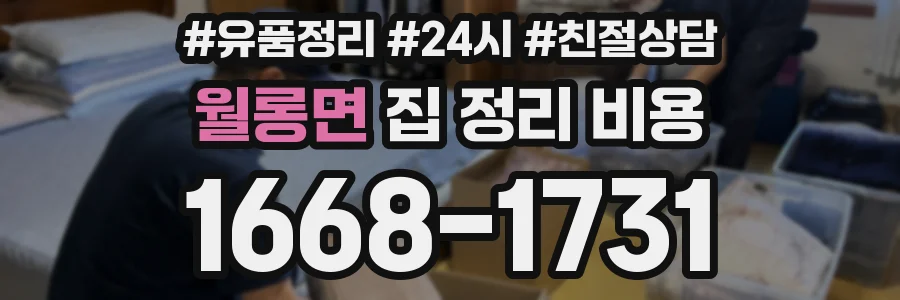 월롱면 집 정리 비용