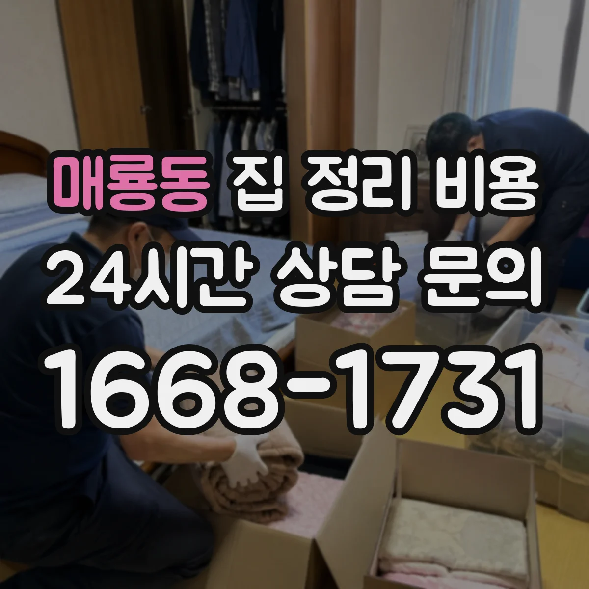 매룡동 집 정리 비용