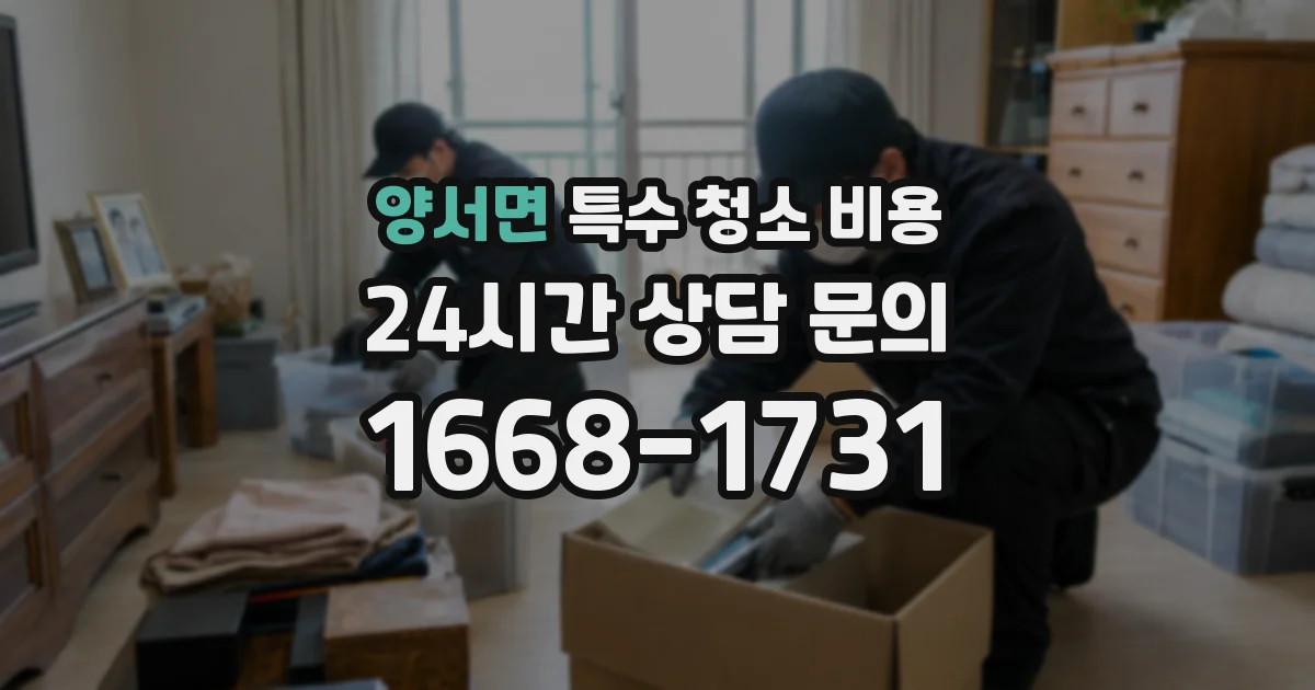 양서면 특수 청소 비용