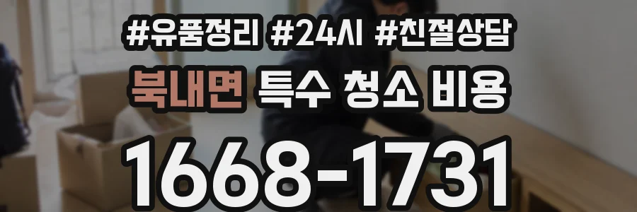 북내면 특수 청소 비용