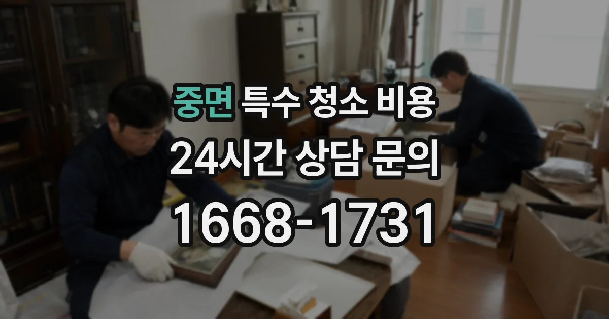 중면 특수 청소 비용