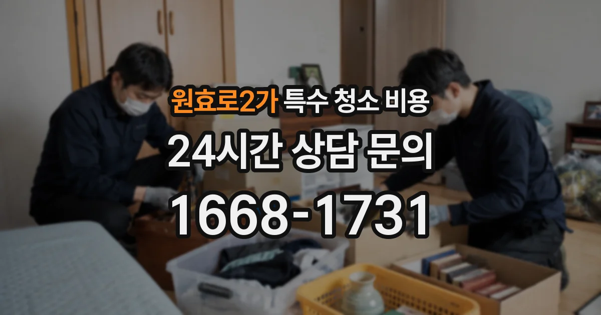 원효로2가 특수 청소 비용