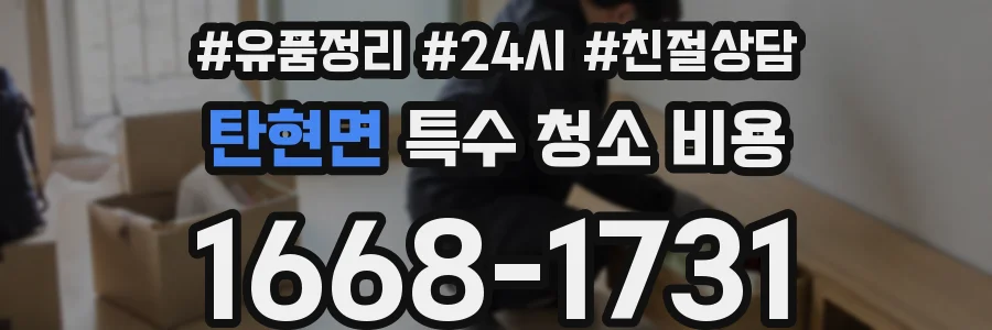 탄현면 특수 청소 비용