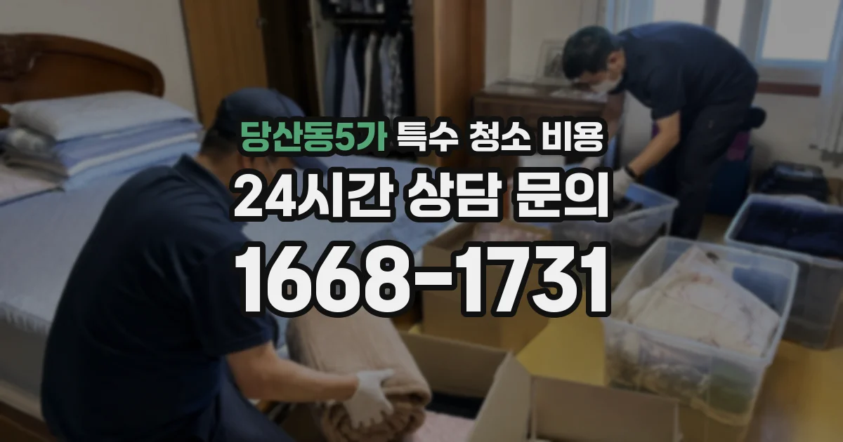 당산동5가 특수 청소 비용