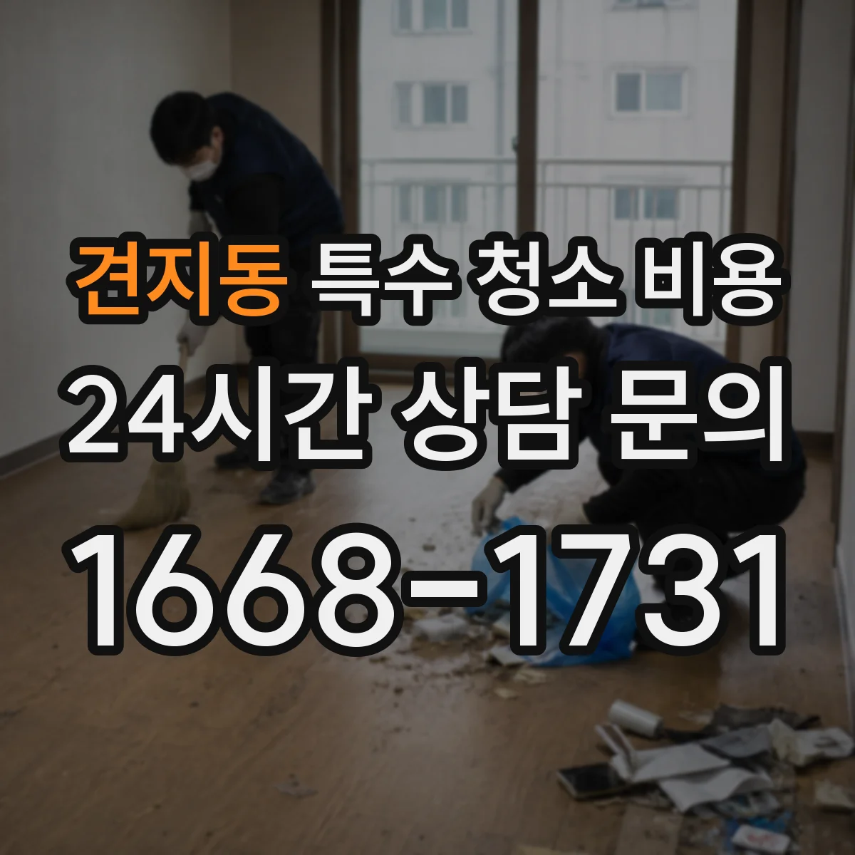 견지동 특수 청소 비용