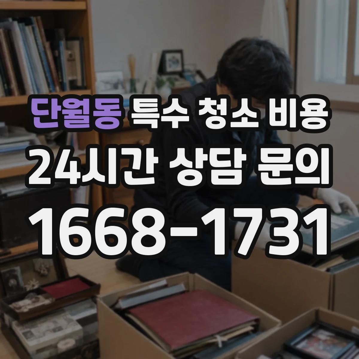 단월동 특수 청소 비용