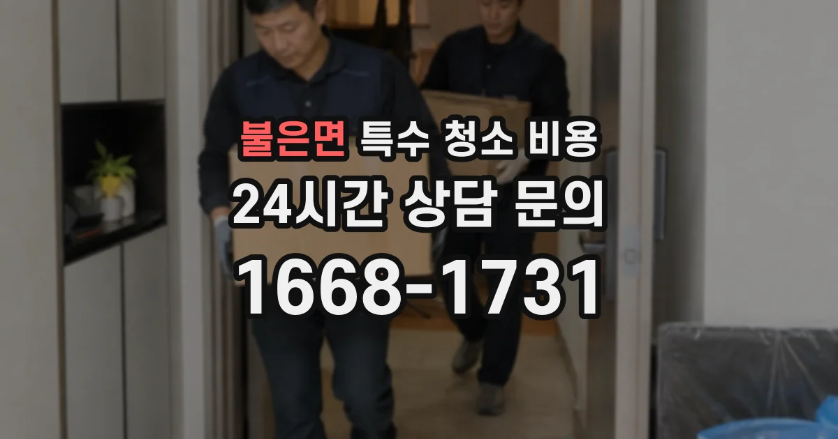 불은면 특수 청소 비용