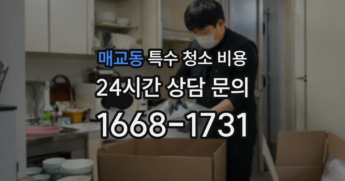 매교동 특수 청소 비용