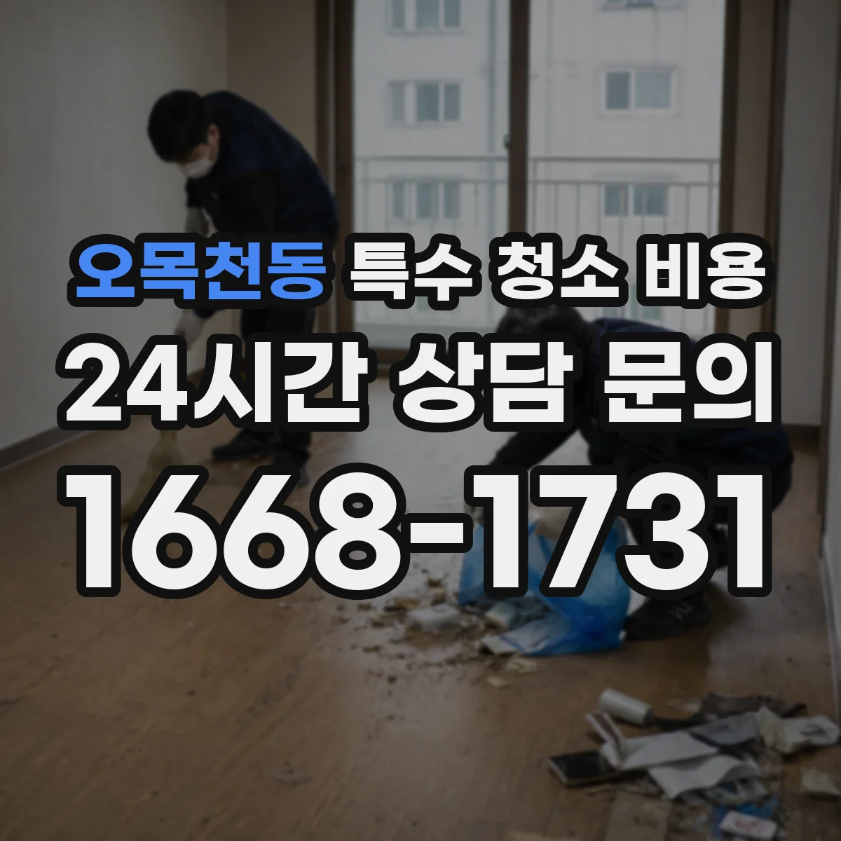 오목천동 특수 청소 비용