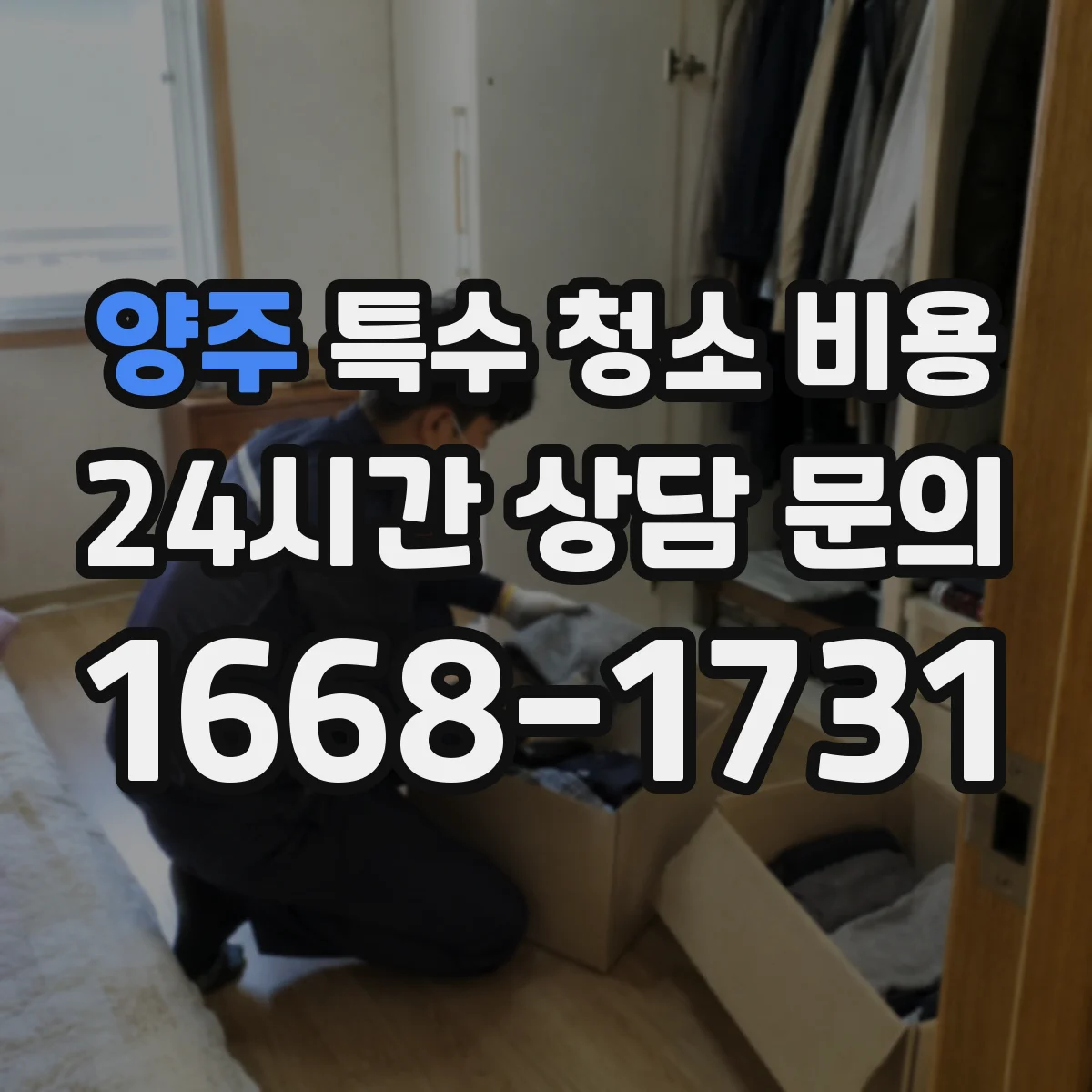 양주 특수 청소 비용