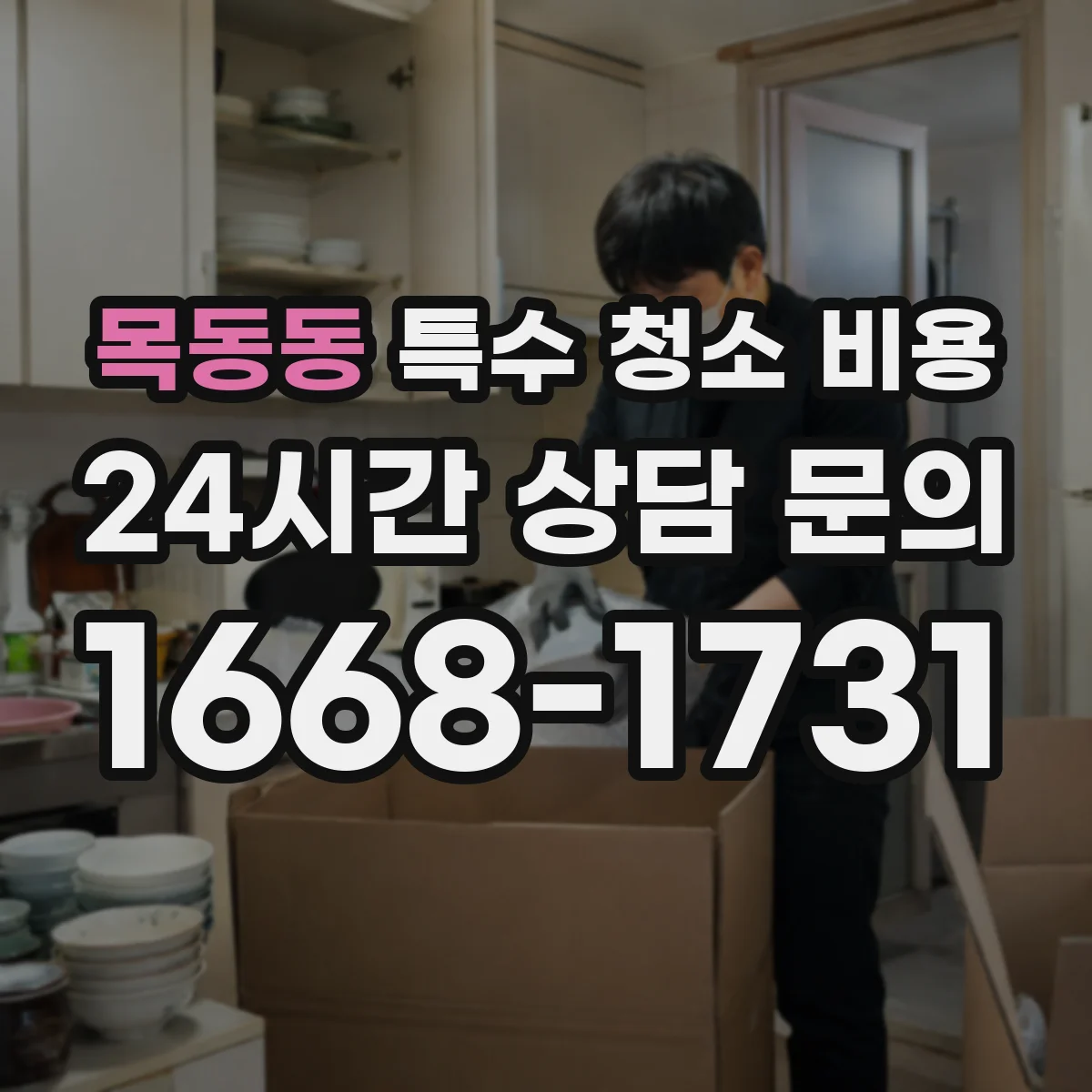 목동동 특수 청소 비용