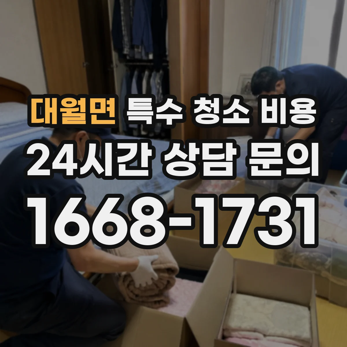 대월면 특수 청소 비용