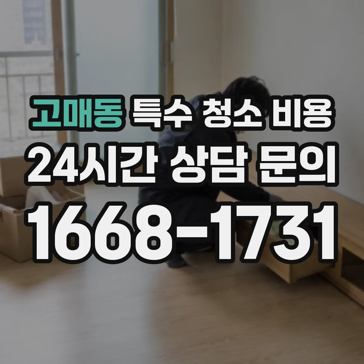 고매동 특수 청소 비용