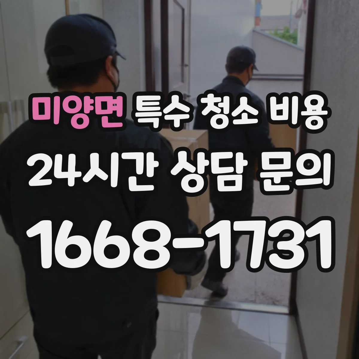 미양면 특수 청소 비용