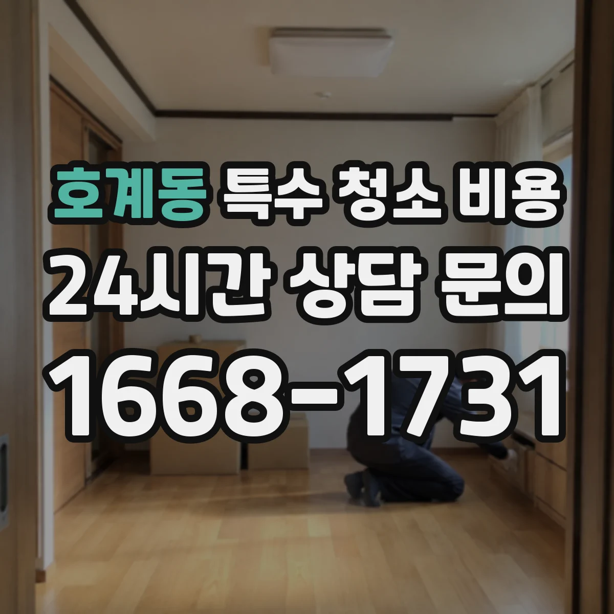 호계동 특수 청소 비용