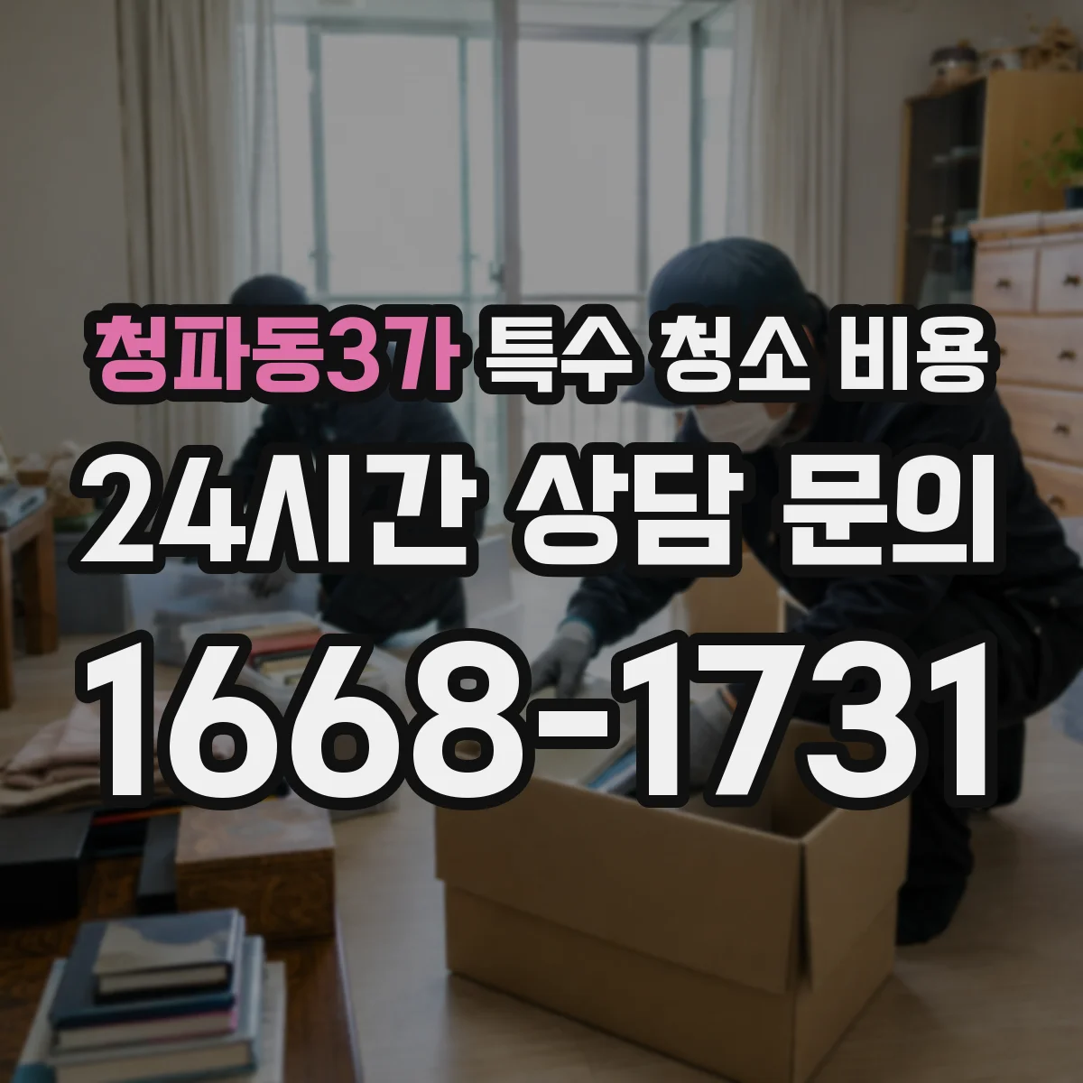 청파동3가 특수 청소 비용