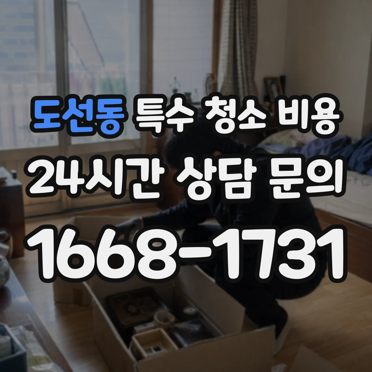 도선동 특수 청소 비용
