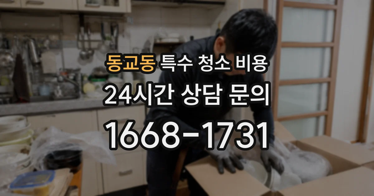 동교동 특수 청소 비용