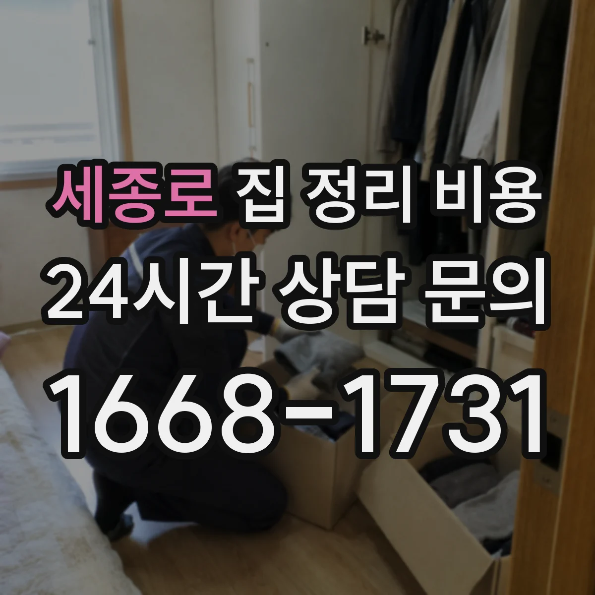 세종로 집 정리 비용